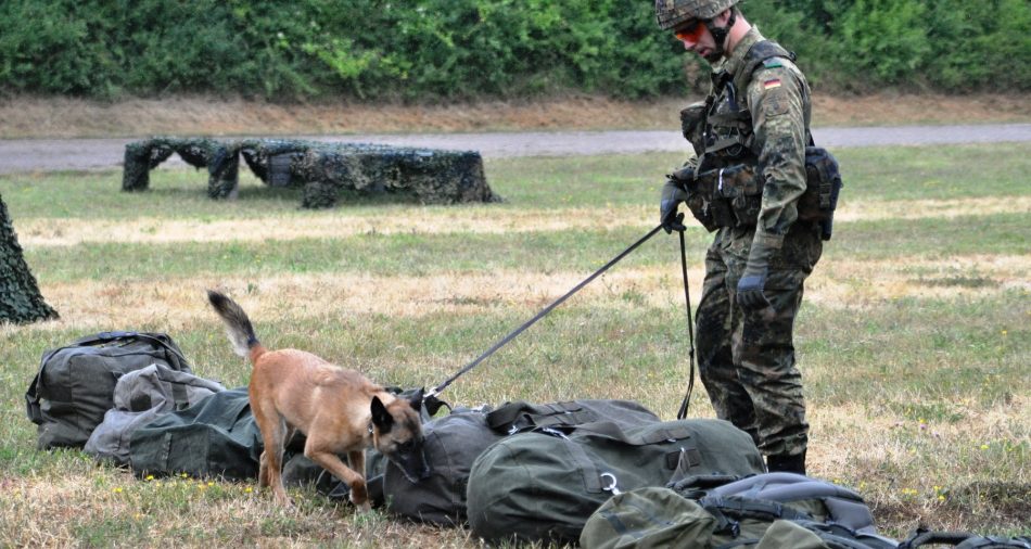 Das Foto zeigt, wie die Bundeswehr die Sprengstoffsuche durch einen Hund vorführt.