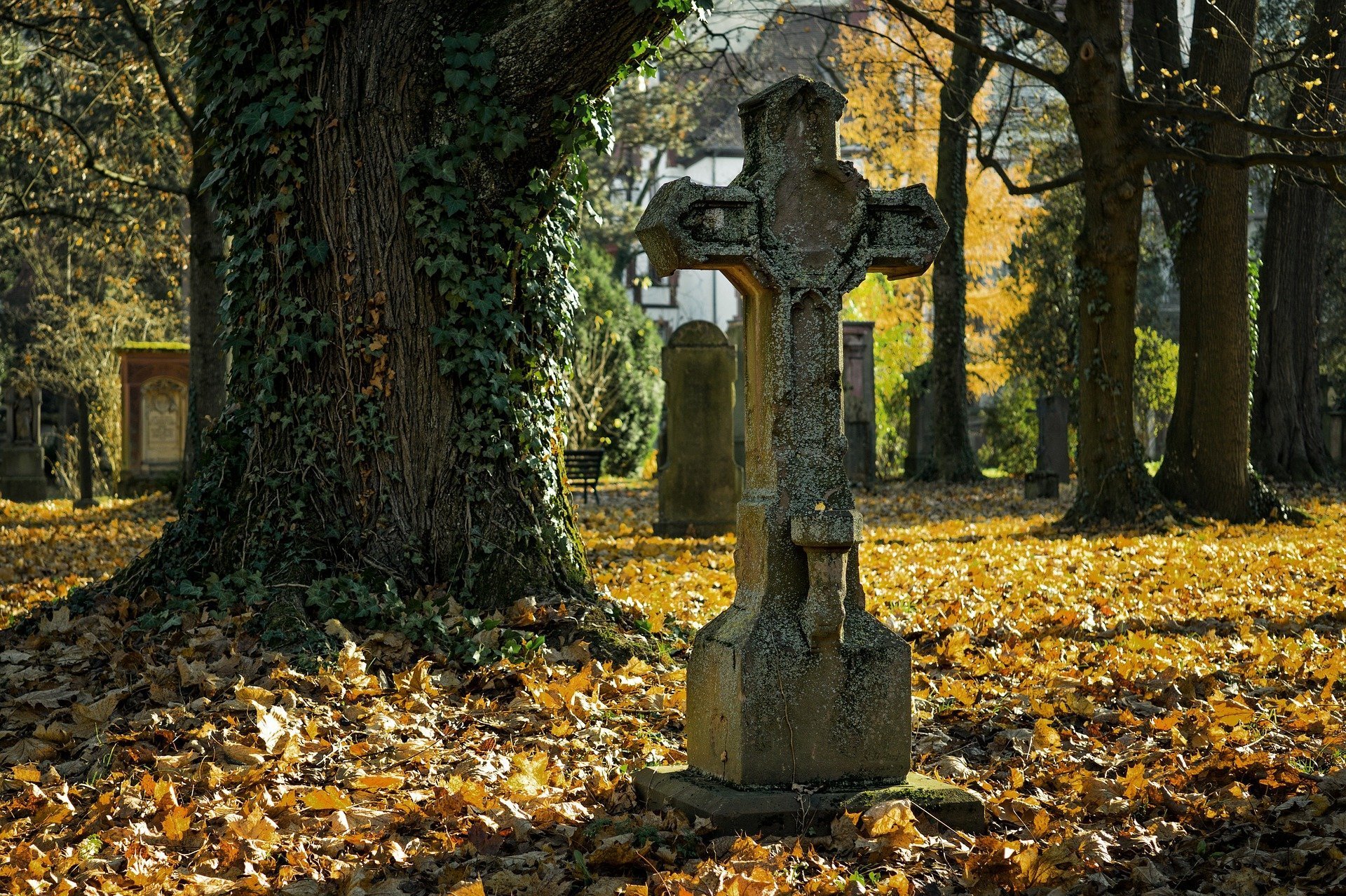 Bei dem Foto handelt es sich um ein Stockfoto, das ein Kreuz auf einem Friedhof zeigt. Im Hintergrund sind mehrere Grabsteine zu sehen.