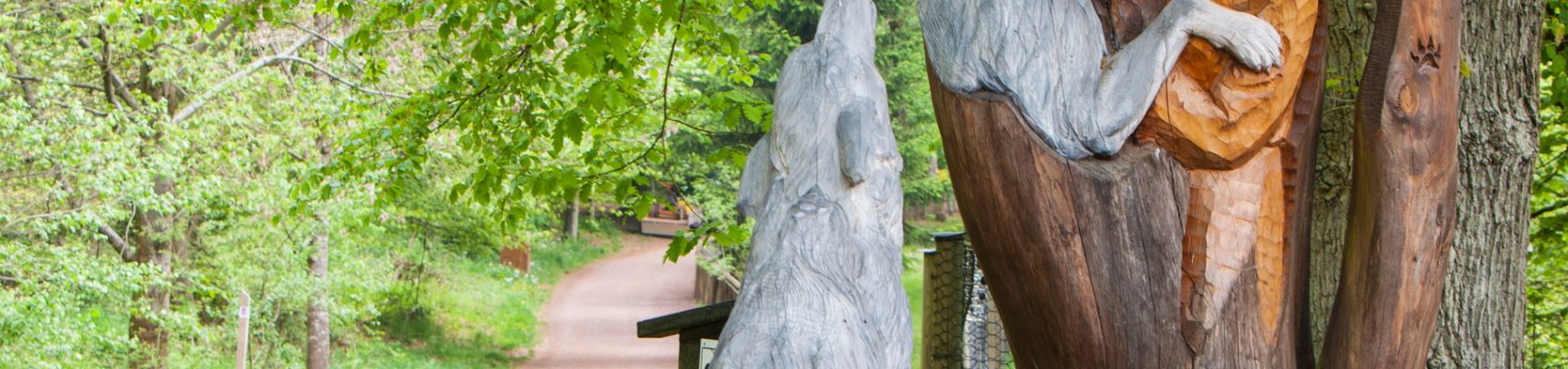 Sehenswürdigkeiten in Merzig: Wolfspark Werner Freund – Werner Freund Wolf Park