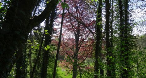 Kreisstadt Merzig: Referenzflächen