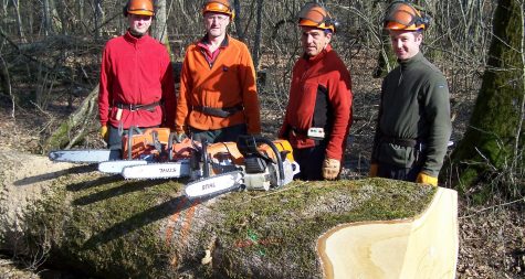 Kreisstadt Merzig: Motorsägenkurs