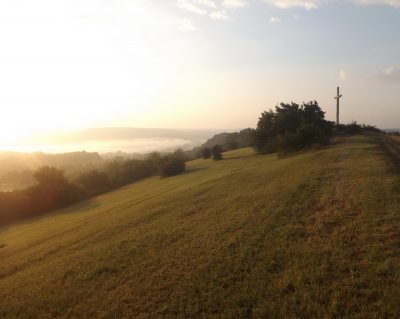 Das Bild zeigt das Naturschutzgebiet Nackberg. Zu sehen ist dabei ein weites Feld und Bäume in der Entfernung. Dahinter geht die Sonne unter.