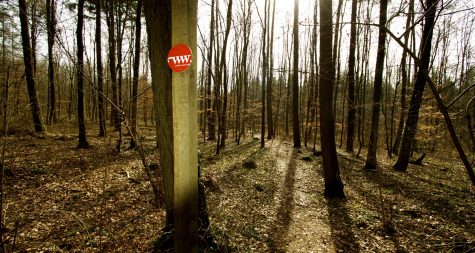 Kreisstadt Merzig: Ziele und Umsetzung