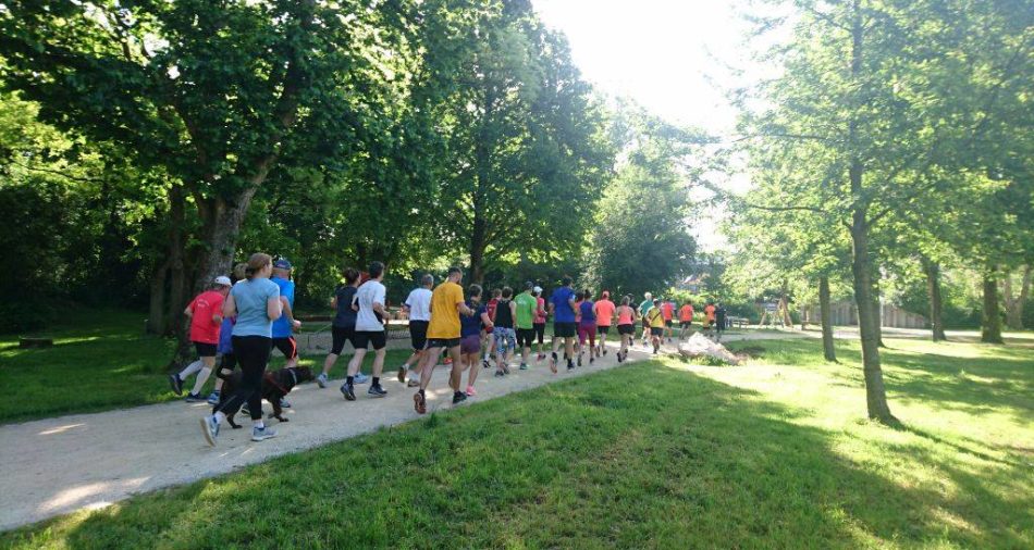 Das Foto zeigt Läuferinnen und Läufer beim Leinpfad-Parkrun.