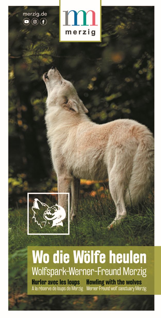 Das Bild zeigt die Titelseite des Flyers über den Wolfspark-Werner-Freund. Darauf zu sehen ist ein heulender Wolf.
