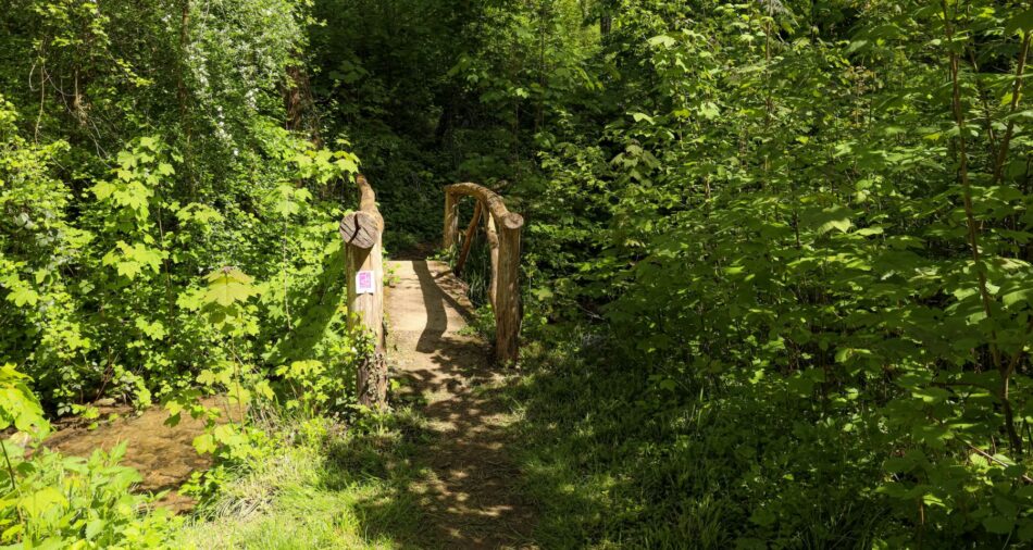 Das Foto zeigt ein Teilstück des Premiumwanderweges 