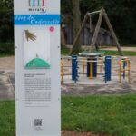 Das Foto zeigt die zehnte Stele des 