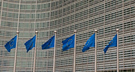 Kreisstadt Merzig: Unionsbürger