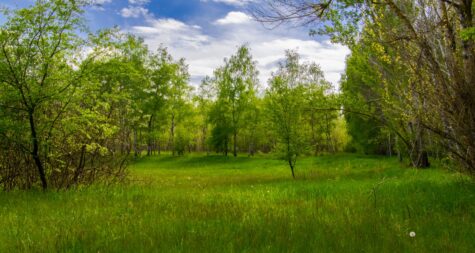 Kreisstadt Merzig: Grünflächen