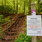 Das Foto zeigt ein Teilstück des Premiumwanderweges 