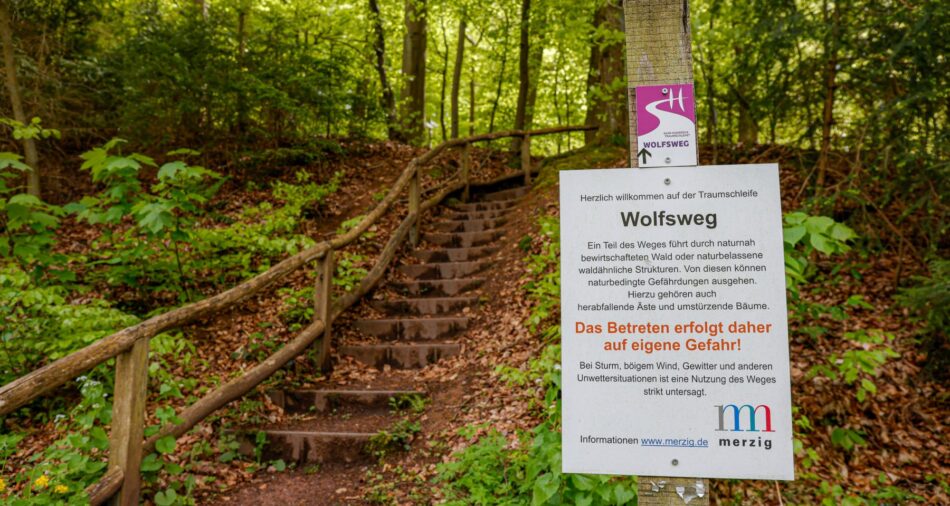 Das Foto zeigt ein Teilstück des Premiumwanderweges 