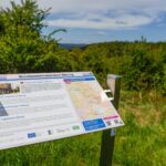 Das Foto zeigt ein Teilstück des Premiumwanderweges 