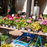 Blumentöpfe mit bunten Blumen stehen auf einem Tisch