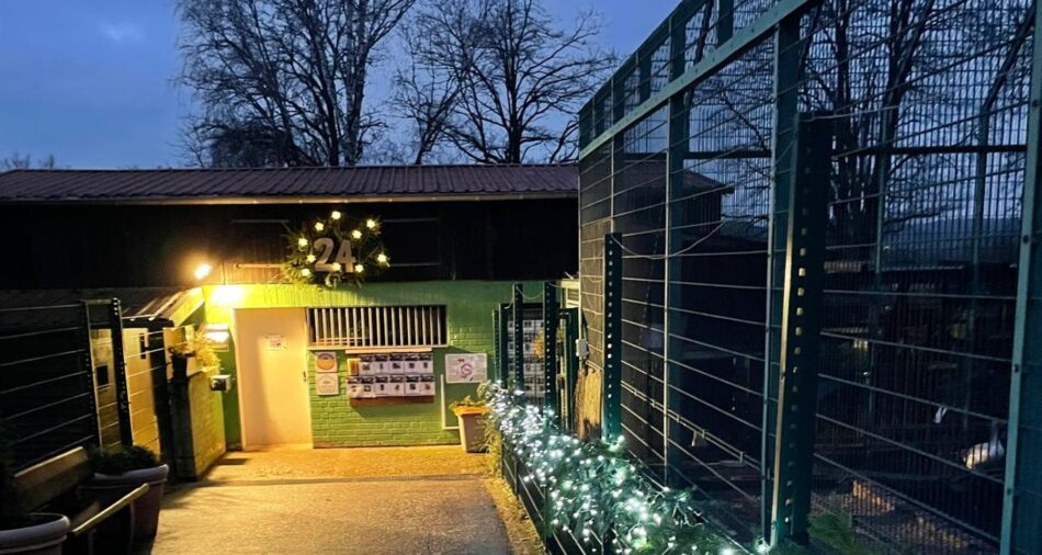 24. Fenster des Lebendigen Adventskalenders 2024 im Merziger Tier- & Arche-Park