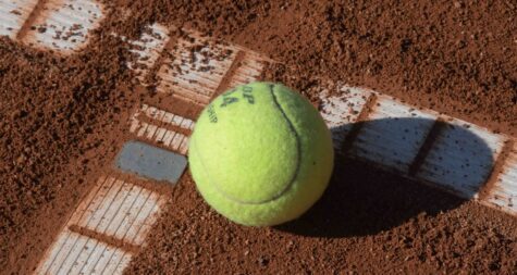 Pressemeldung:  Kunstausstellung „Sport und Inklusion“ im Merziger Rathaus zu Gast