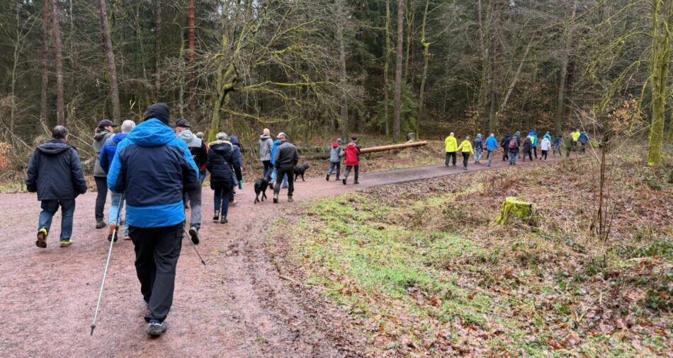 Wanderer durch den Kammerforst