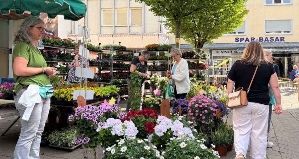 Bunte Blumenpracht in Töpfen