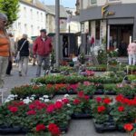 Bunte Blumenpracht in Töpfen