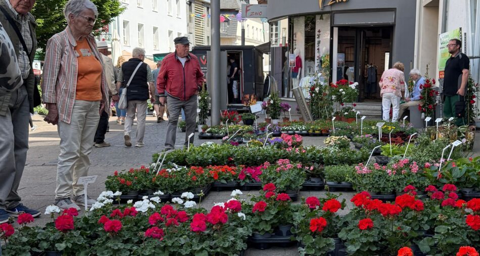 Bunte Blumenpracht in Töpfen