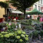 Pflanzen auf dem Blumenmarkt