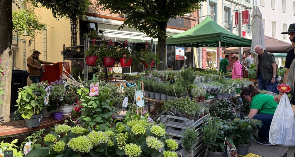 Pflanzen auf dem Blumenmarkt